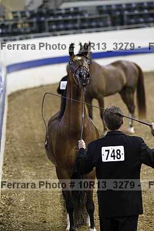 Proof Number 10r13_3279