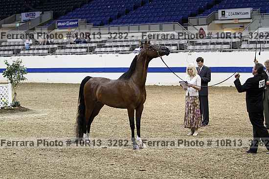 Proof Number 10r13_3282