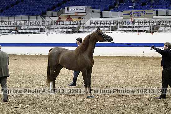 Proof Number 10r13_3291