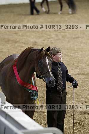 Proof Number 10r13_3293