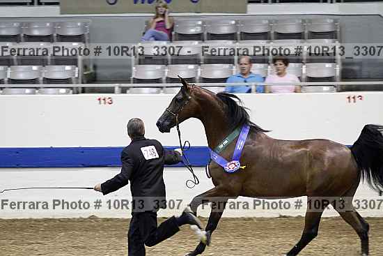 Proof Number 10r13_3307