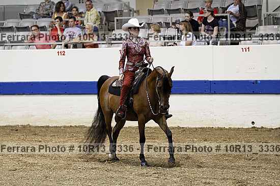 Proof Number 10r13_3336