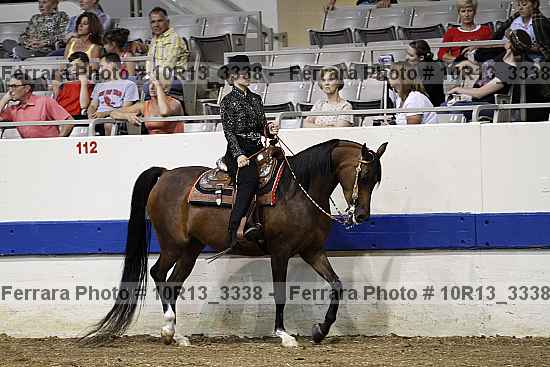 Proof Number 10r13_3338