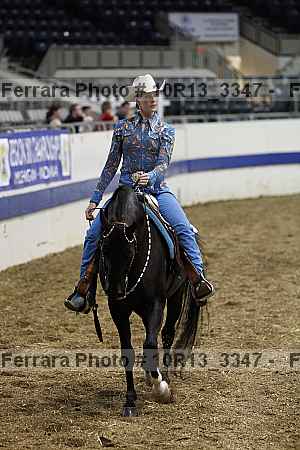 Proof Number 10r13_3347