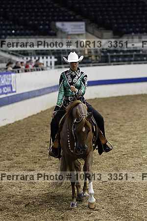 Proof Number 10r13_3351