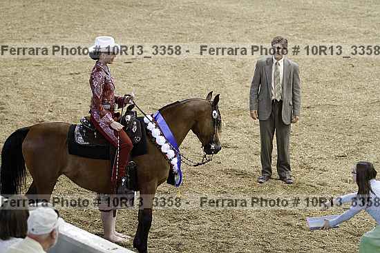 Proof Number 10r13_3358