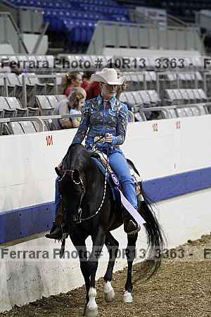 Proof Number 10r13_3363