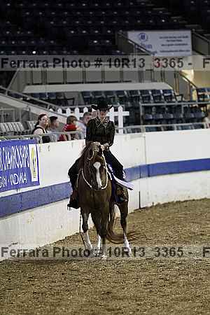 Proof Number 10r13_3365