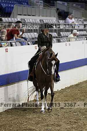 Proof Number 10r13_3367