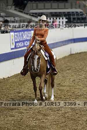 Proof Number 10r13_3369