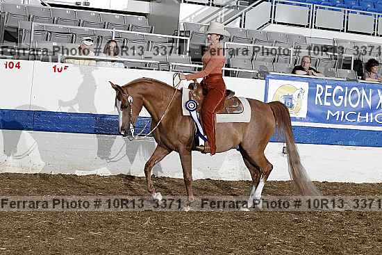 Proof Number 10r13_3371