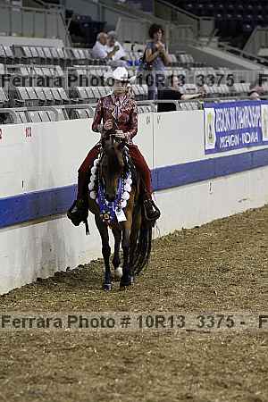 Proof Number 10r13_3375