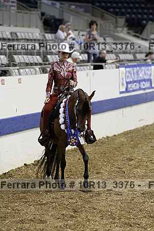 Proof Number 10r13_3376