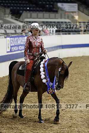 Proof Number 10r13_3377