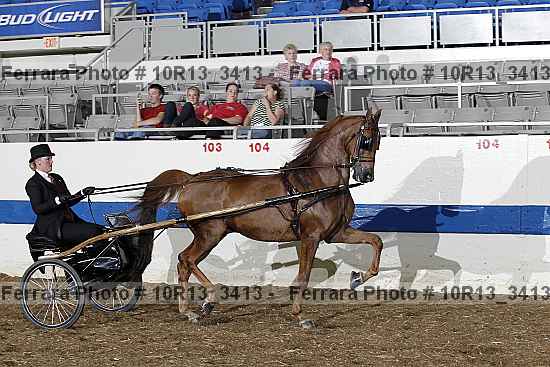 Proof Number 10r13_3413