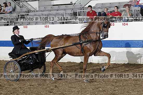 Proof Number 10r13_3417