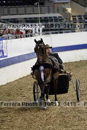 Proof Number 10r13_3418