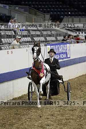 Proof Number 10r13_3425