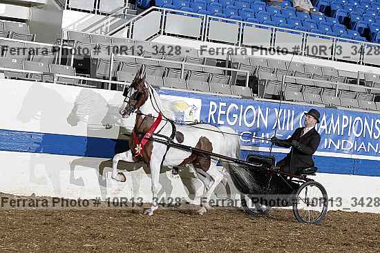 Proof Number 10r13_3428