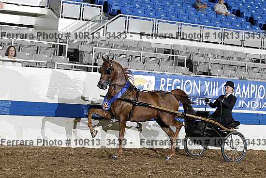 Proof Number 10r13_3433