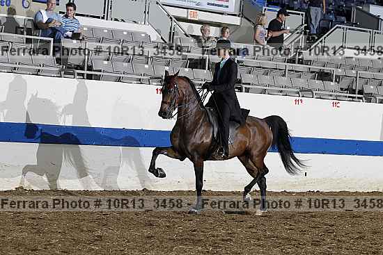 Proof Number 10r13_3458