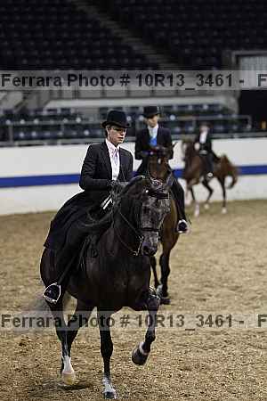 Proof Number 10r13_3461