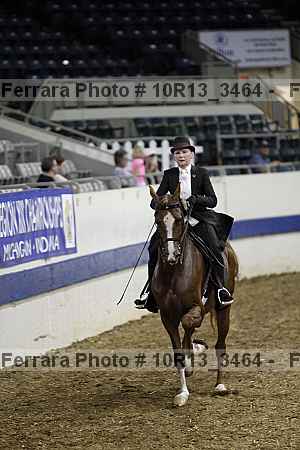 Proof Number 10r13_3464