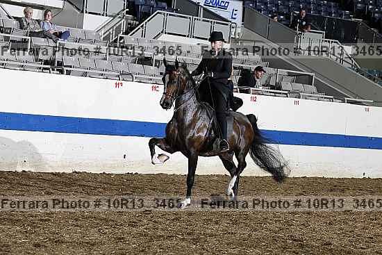 Proof Number 10r13_3465