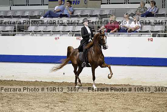 Proof Number 10r13_3467
