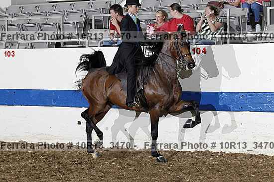 Proof Number 10r13_3470