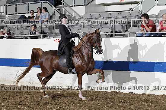 Proof Number 10r13_3472