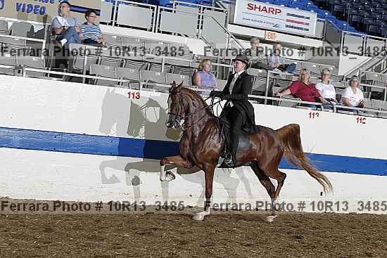 Proof Number 10r13_3485