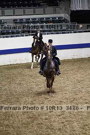 Proof Number 10r13_3486