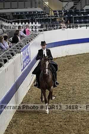 Proof Number 10r13_3488