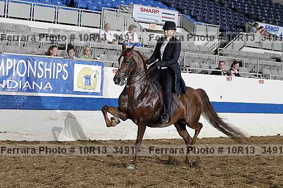 Proof Number 10r13_3491