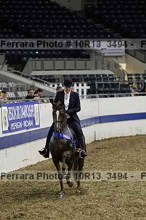 Proof Number 10r13_3494
