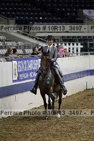 Proof Number 10r13_3497