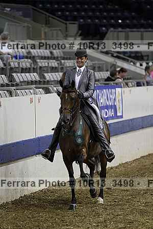 Proof Number 10r13_3498