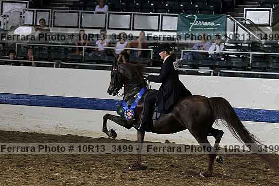 Proof Number 10r13_3499