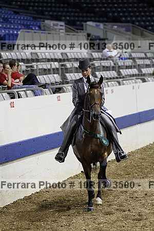 Proof Number 10r13_3500