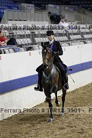 Proof Number 10r13_3501