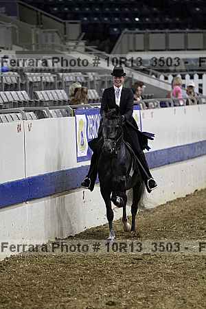 Proof Number 10r13_3503