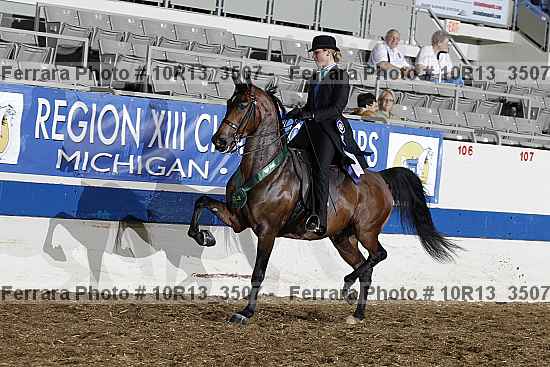 Proof Number 10r13_3507