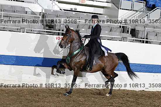 Proof Number 10r13_3508