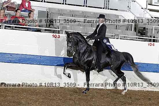 Proof Number 10r13_3509
