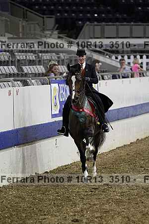 Proof Number 10r13_3510