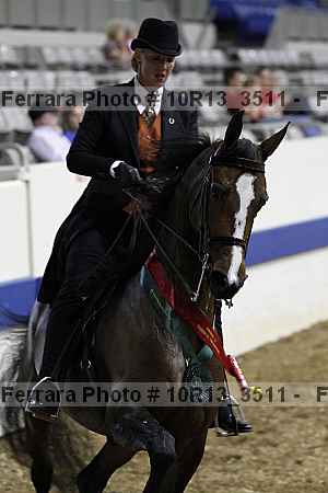 Proof Number 10r13_3511