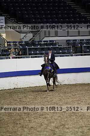 Proof Number 10r13_3512