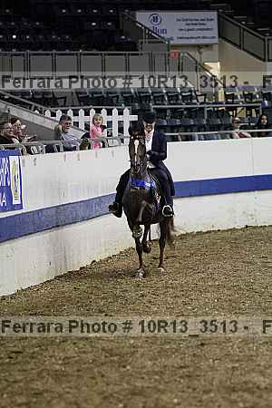 Proof Number 10r13_3513