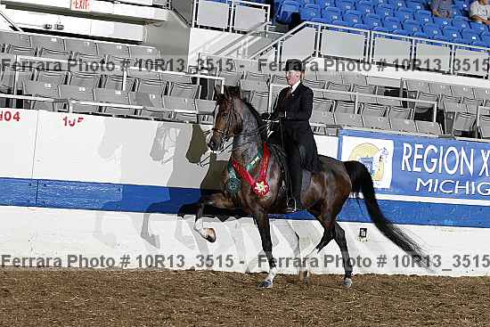 Proof Number 10r13_3515
